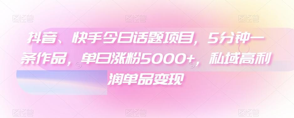 抖音、快手今日话题项目，5分钟一条作品，单日涨粉5000+，私域高利润单品变现-禾谷轻创网