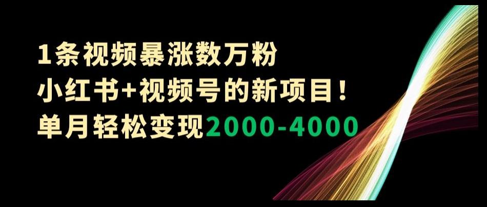 1条视频暴涨数万粉–小红书+视频号的新项目！单月轻松变现2000-4000【揭秘】-禾谷轻创网