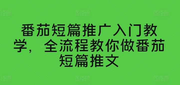 番茄短篇推广入门教学，全流程教你做番茄短篇推文-禾谷轻创网