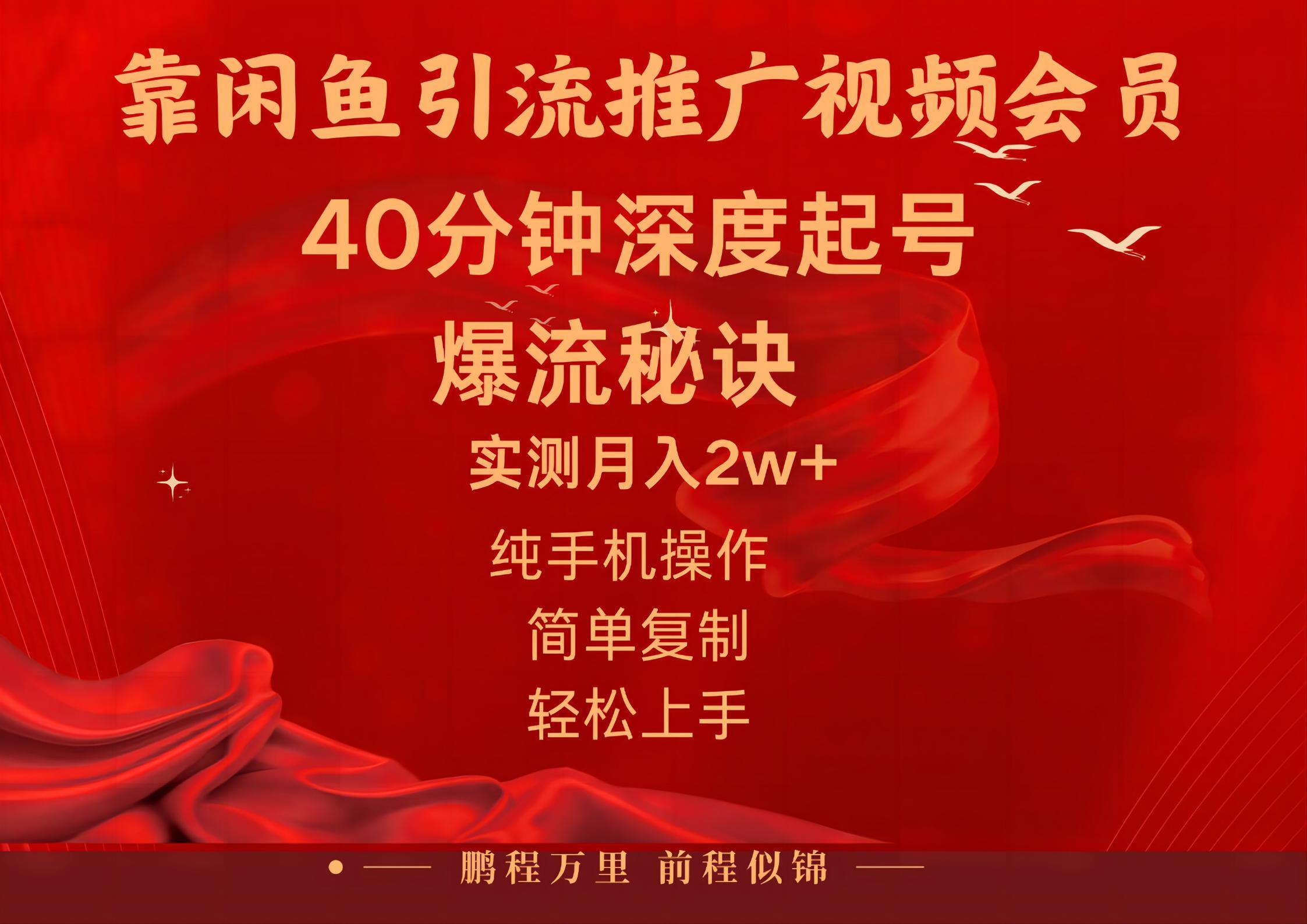 闲鱼暴力引流推广视频会员，能做到日入2W+，操作简单-禾谷轻创网