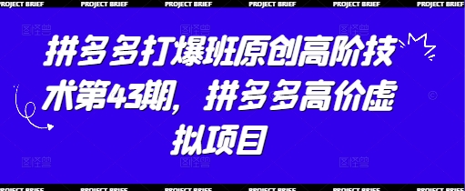 拼多多打爆班原创高阶技术第43期，拼多多高价虚拟项目-禾谷轻创网