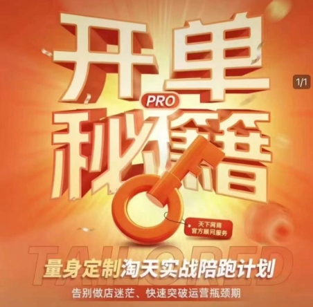 淘宝开单秘籍PRO，量身定制淘天实战陪跑计划，告别做店迷茫、快速突破运营瓶颈期(更新)-禾谷轻创网