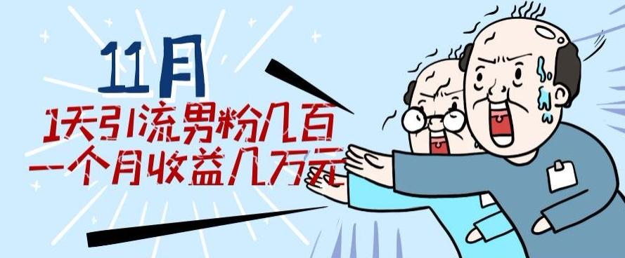 11月最新每天引流男粉300+一个月收益几万元-禾谷轻创网