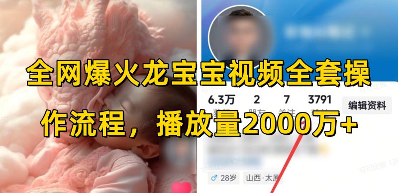 全网爆火龙宝宝视频全套操作流程，播放量2000万+-禾谷轻创网