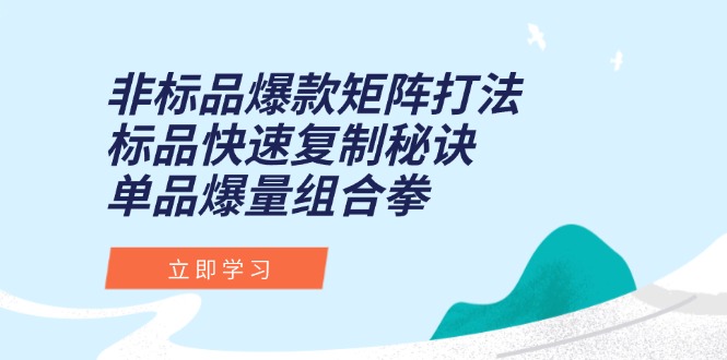 非标品爆款矩阵打法，标品快速复制秘诀，单品爆量组合拳-禾谷轻创网