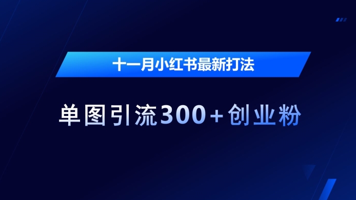 十一月小红书最新打法，单图引流300+创业粉【揭秘】-禾谷轻创网