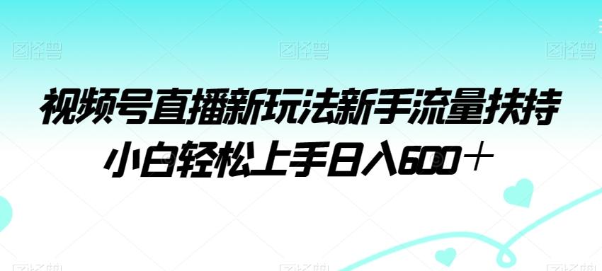 视频号直播新玩法新手流量扶持小白轻松上手日入600＋【揭秘】-禾谷轻创网