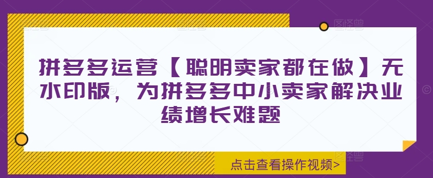 拼多多运营【聪明卖家都在做】无水印版，为拼多多中小卖家解决业绩增长难题-禾谷轻创网