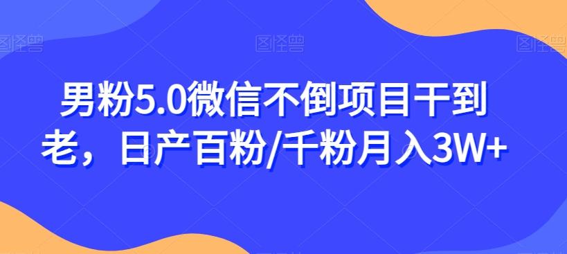 男粉5.0微信不倒项目干到老，日产百粉/千粉月入3W+【揭秘】-禾谷轻创网