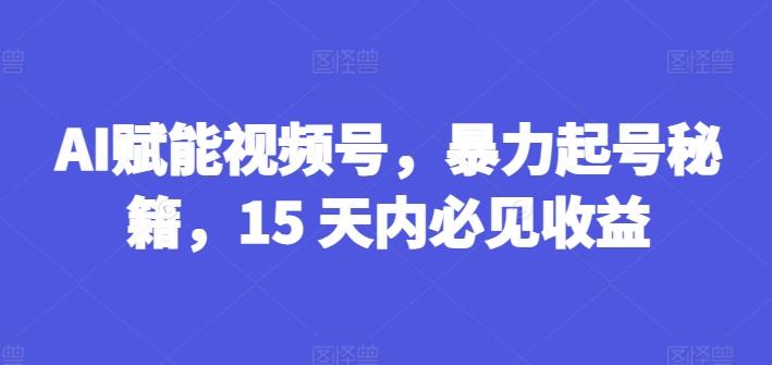 AI赋能视频号，暴力起号秘籍，15 天内必见收益【揭秘】-禾谷轻创网