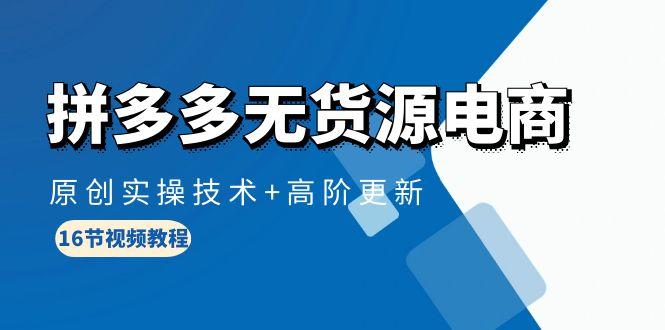 (10015期)拼多多无货源电商，原创实操技术+高阶更新(16节视频教程)-禾谷轻创网