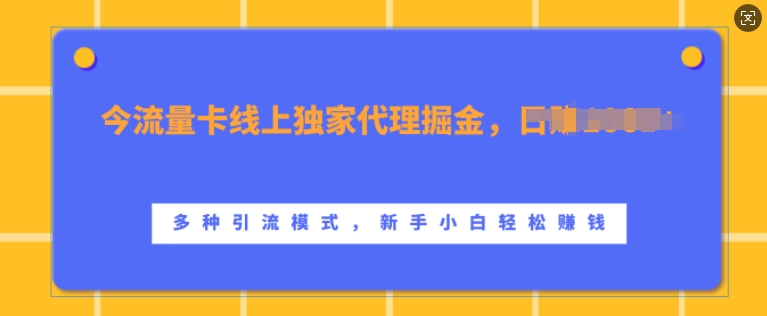流量卡线上独家代理掘金，日入1k+ ，多种引流模式，新手小白轻松上手【揭秘】-禾谷轻创网