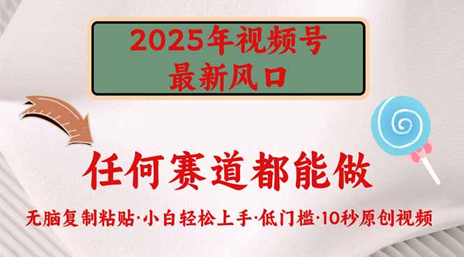 2025年视频号新风口，低门槛只需要无脑执行-禾谷轻创网