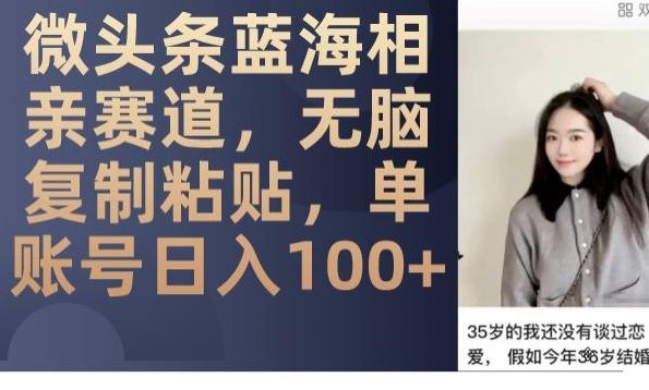 微头条蓝海相亲赛道，无脑复制粘贴，单账号日入100+-禾谷轻创网