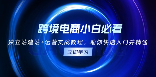 跨境电商小白必看！独立站建站+运营实战教程，助你快速入门并精通-禾谷轻创网