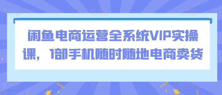 闲鱼电商运营全系统VIP实操课，1部手机随时随地电商卖货-禾谷轻创网