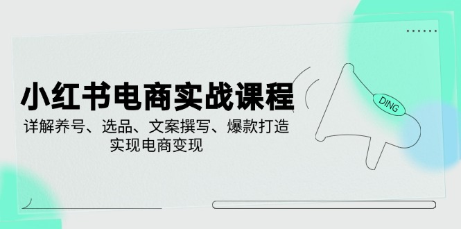 小红书电商实战课程，详解养号、选品、文案撰写、爆款打造，实现电商变现-禾谷轻创网