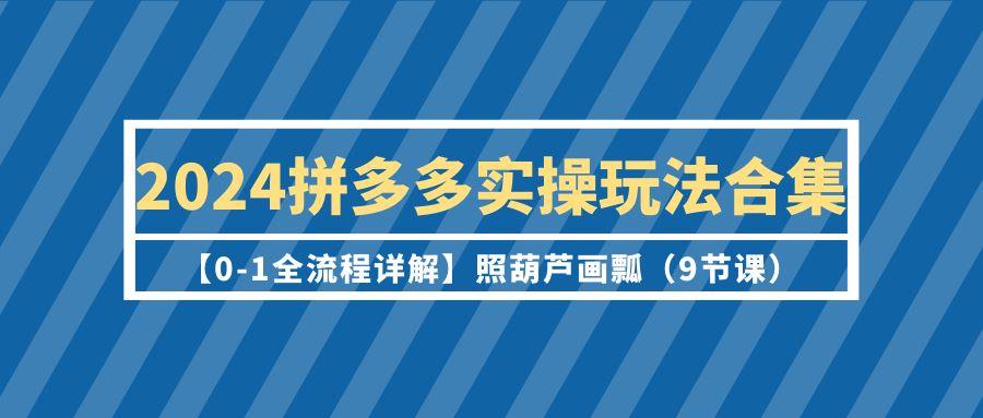 (9559期)2024拼多多实操玩法合集【0-1全流程详解】照葫芦画瓢(9节课)-禾谷轻创网