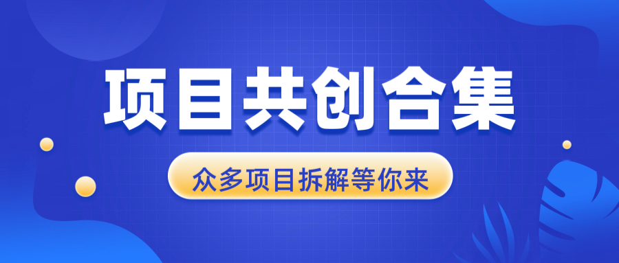 项目共创合集，从0-1全过程拆解，让你迅速找到适合自已的项目-禾谷轻创网
