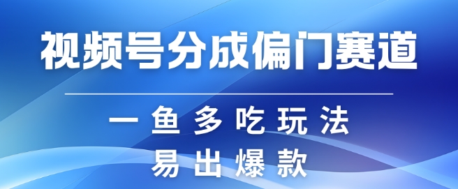 视频号创作者分成计划偏门类目，容易爆流，实拍内容简单易做【揭秘】-禾谷轻创网