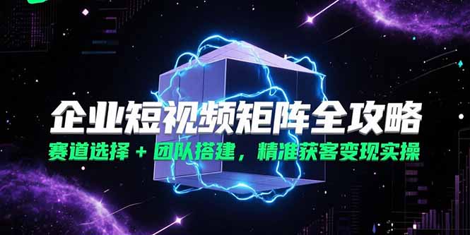 企业短视频矩阵全攻略，赛道选择+团队搭建，精准获客变现实操-禾谷轻创网