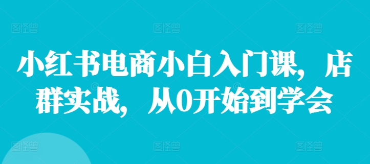 小红书电商小白入门课，店群实战，从0开始到学会-禾谷轻创网