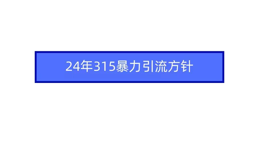 (9398期)2024年315暴力引流方针-禾谷轻创网