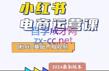 达哥·小红书电商运营(2024版)-禾谷轻创网