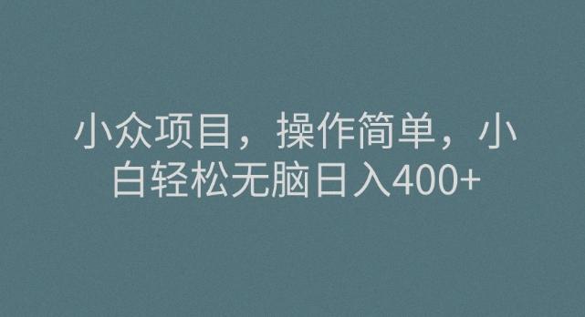 小众项目，操作简单，小白轻松无脑日入400+-禾谷轻创网
