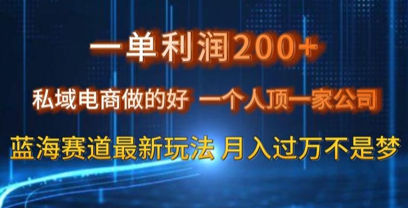 一单利润200私域电商做的好，一个人顶一家公司蓝海赛道最新玩法【揭秘】-禾谷轻创网
