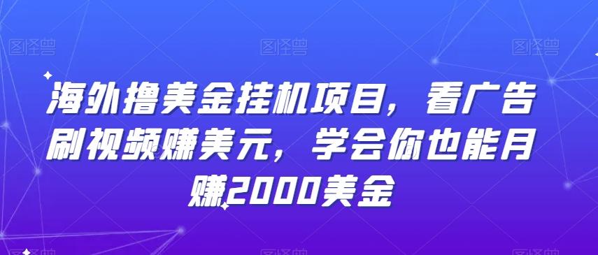 海外撸美金挂机项目，看广告刷视频赚美元，学会你也能月赚2000美金-禾谷轻创网