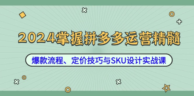 2024掌握拼多多运营精髓：爆款流程、定价技巧与SKU设计实战课-禾谷轻创网