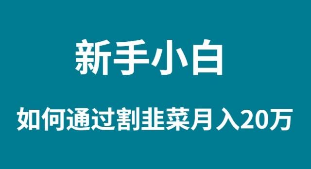 (9308期)新手小白如何通过割韭菜月入 20W-禾谷轻创网