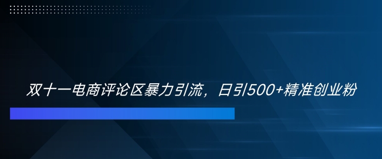 双十一电商评论区暴力引流，日引500+精准创业粉【揭秘】-禾谷轻创网