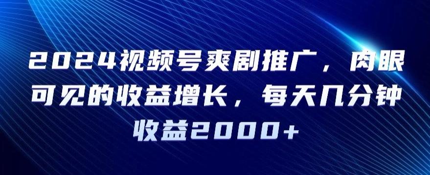 2024视频号爽剧推广，肉眼可见的收益增长，每天几分钟收益2000+【揭秘】-禾谷轻创网
