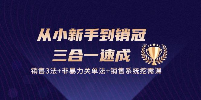 从小新手到销冠 三合一速成：销售3法+非暴力关单法+销售系统挖需课 (27节-禾谷轻创网