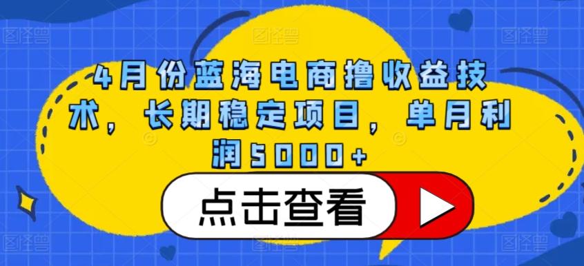 4月份蓝海电商撸收益技术，长期稳定项目，单月利润5000+【揭秘】-禾谷轻创网