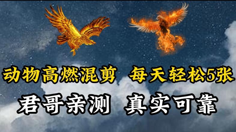 动物超燃混剪，每天轻松5张，剪辑简单大家爱看【揭秘】-禾谷轻创网