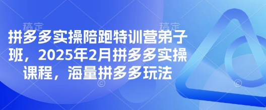 拼多多实操陪跑特训营弟子班，2025年2月拼多多实操课程，海量拼多多玩法-禾谷轻创网