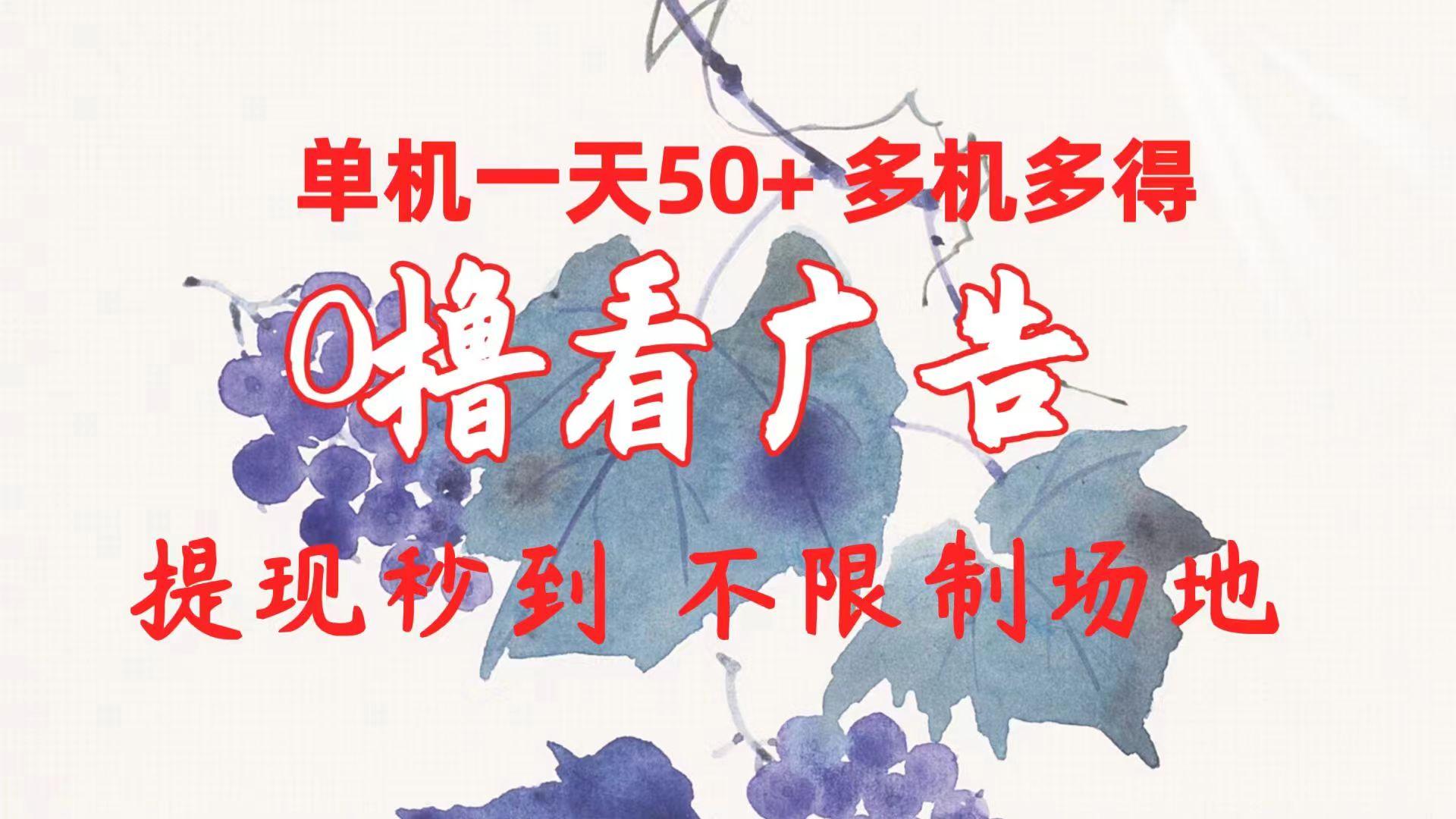 0撸看广告 单机一天50+多机多得 提现秒到 不限制场地操作-禾谷轻创网