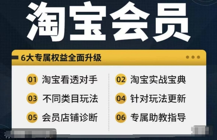 淘宝会员【淘宝所有课程，全面分析对手】，初级到高手全系实战宝典-禾谷轻创网