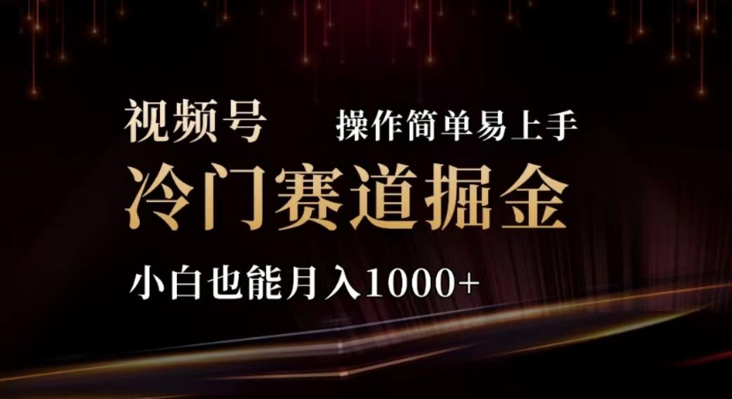 2024视频号冷门赛道掘金，操作简单轻松上手，小白也能月入1000+-禾谷轻创网