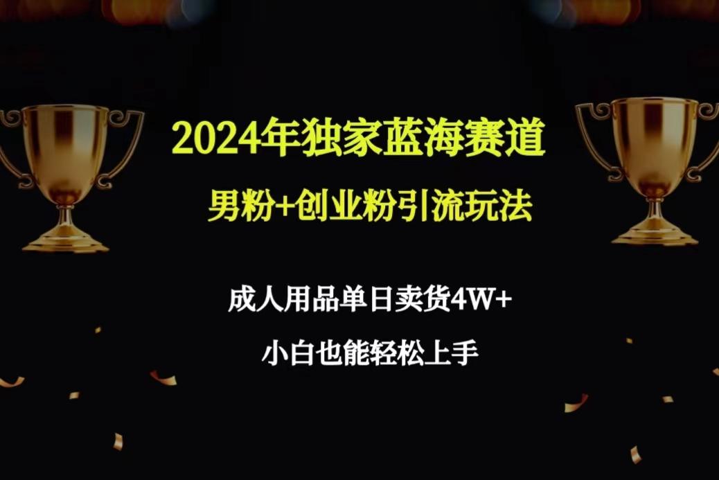 2024年独家蓝海赛道男粉+创业粉引流玩法，成人用品单日卖货4W+保姆教程-禾谷轻创网