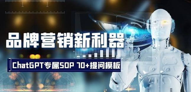品牌营销新利器：ChatGPT专属SOP，70+提问模板【文档】-禾谷轻创网