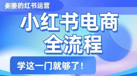 小红书电商全流程，精简易懂，从入门到精通，学这一门就够了-禾谷轻创网