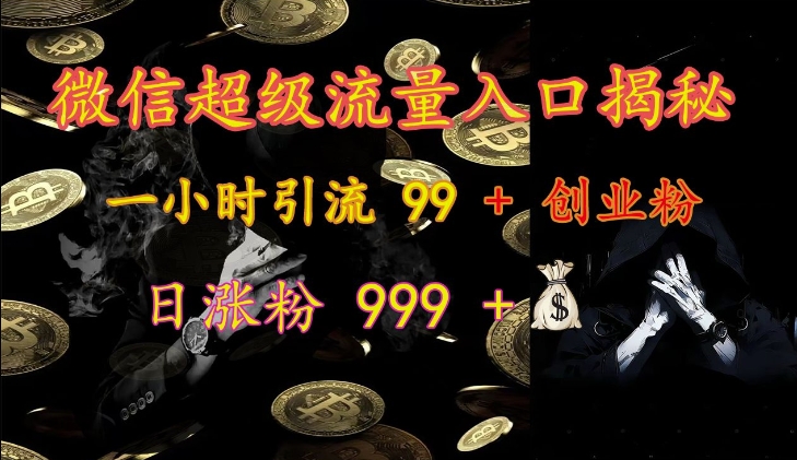 微信超级流量入口揭秘：一小时引流 99 + 创业粉，日涨粉 999 +-禾谷轻创网