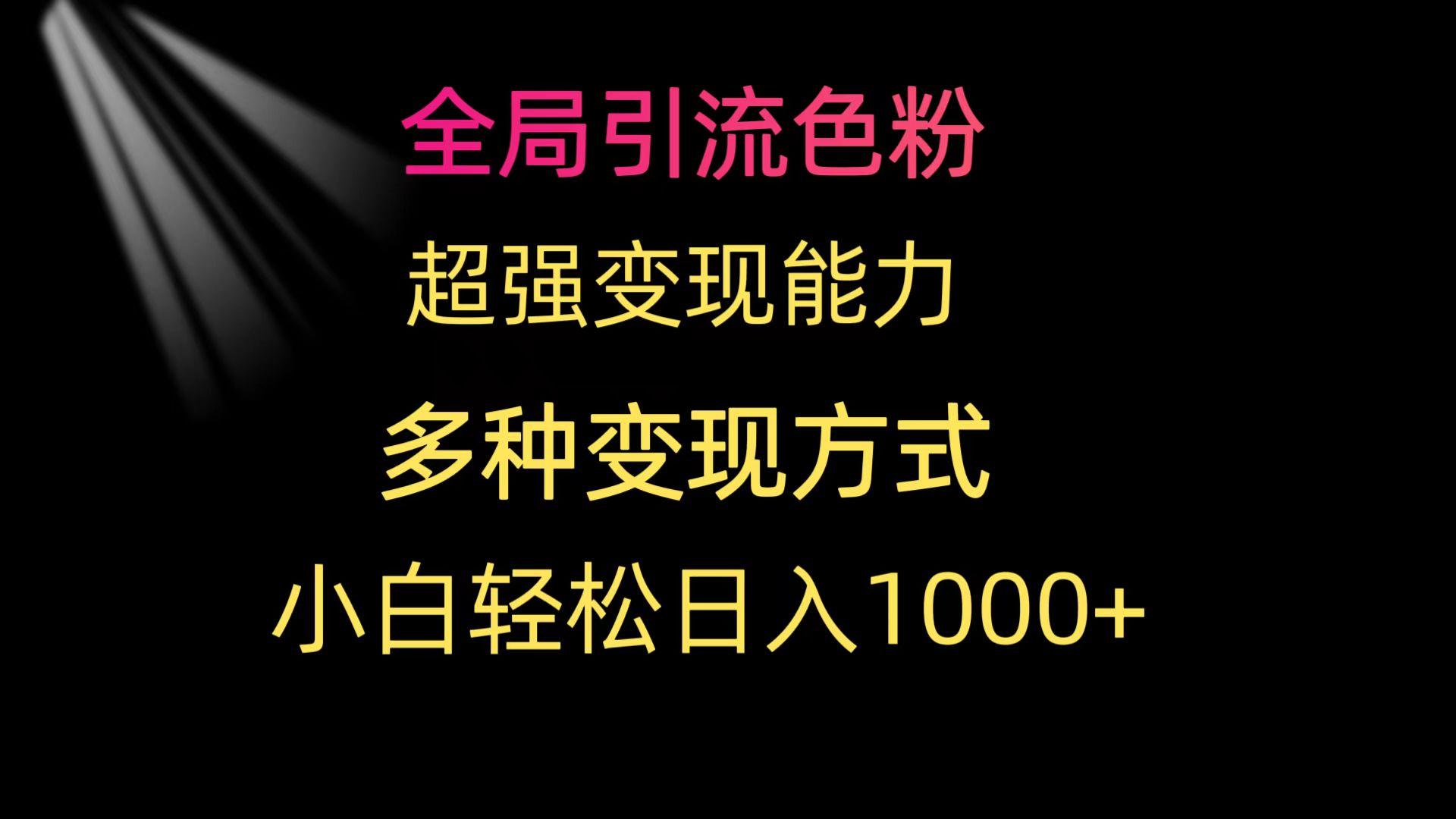 (9680期)全局引流色粉 超强变现能力 多种变现方式 小白轻松日入1000+-禾谷轻创网