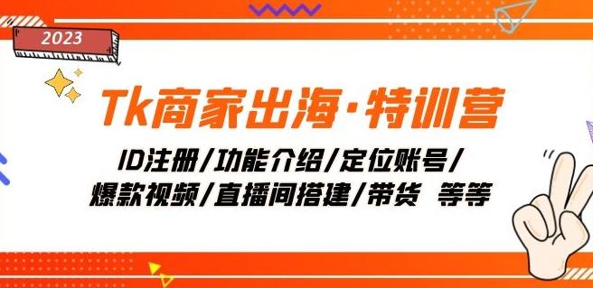 Tk商家出海·特训营：ID注册/功能介绍/定位账号/爆款视频/直播间搭建/带货-禾谷轻创网