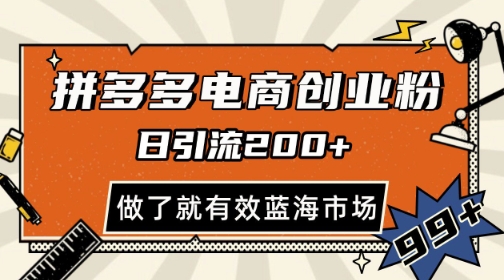 拼多多引流电商创业粉，日引200+，可矩阵放大，做了就有效【揭秘】-禾谷轻创网
