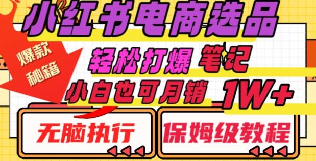 小红书电商爆款选品秘籍，帮你轻松打爆笔记，小白也可轻松月销10000+-禾谷轻创网